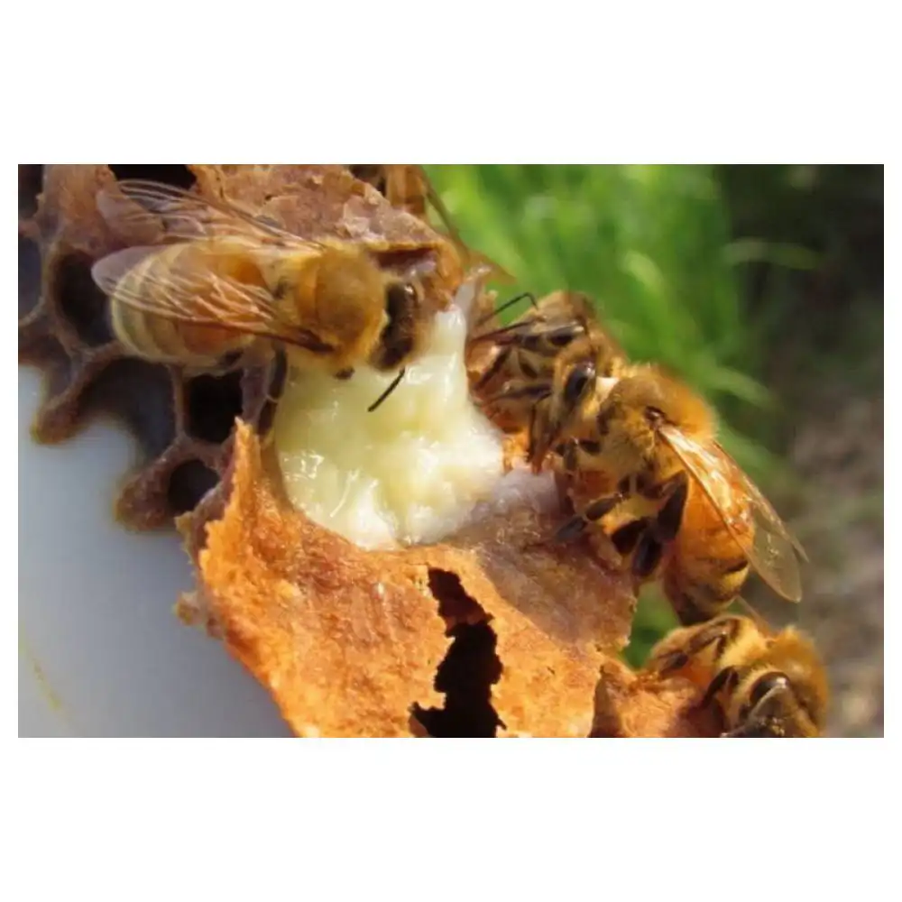 Применение маточного молочка